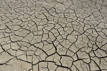 The parched soil