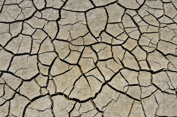 The parched soil