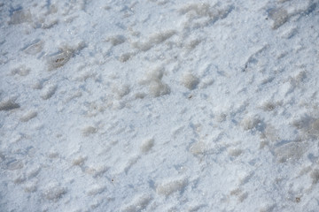 texture of melting spring snow