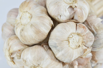 Garlic isolated on white