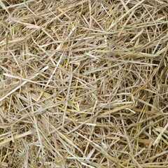 straw and hay texture background