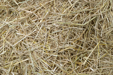 straw and hay texture background