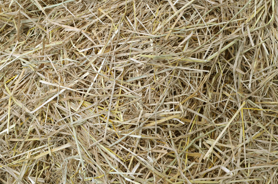 straw and hay texture background