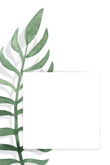 A square frame and watercolor-drawn green leaves on a white background. Isolated and space for your text.