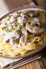 Pasta fettuccini with Boscaiola sauce close-up on a plate. vertical