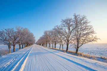 Obraz premium snowbound winter road through a alley