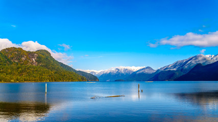 Fototapeta premium Pitt Lake with the Snow Capped Peaks of the Golden Ears, Tingle Peak and other Mountain Peaks of the surrounding Coast Mountain Range in the Fraser Valley of British Columbia, Canada