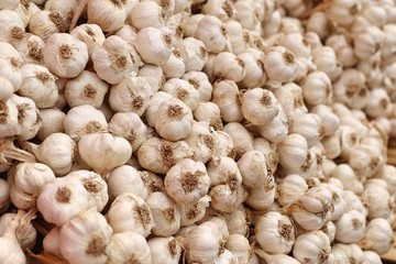garlic at the market