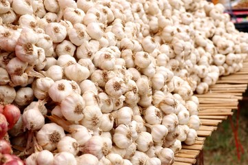 garlic at the market