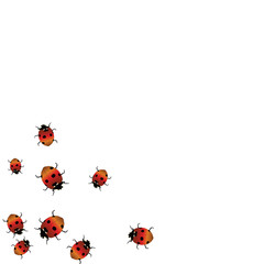 Delicate background with ladybugs. Trendy template for a postcard, stamp, banner or poster. Cute Ladybugs on a white background. Vector