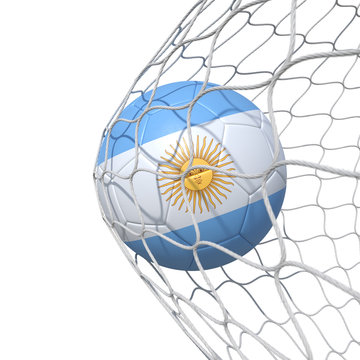 Argentinean Argentina flag soccer ball inside the net, in a net.