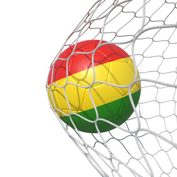Bolivian Bolivia flag soccer ball inside the net, in a net.