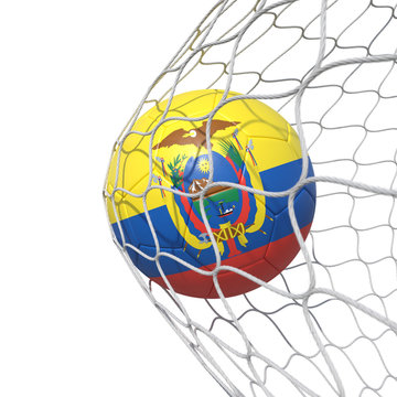 Ecuador Ecuadorian flag soccer ball inside the net, in a net.