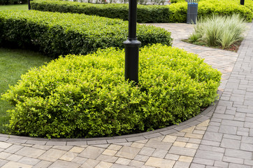 stone path with decorative bushes in the park