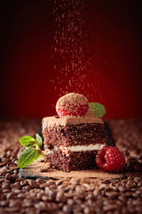 Closeup of chocolate cake with raspberry .