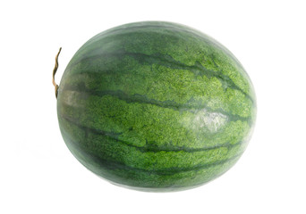 Watermelon isolated on the white background ..