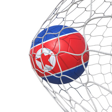 Korea Korean flag soccer ball inside the net, in a net.