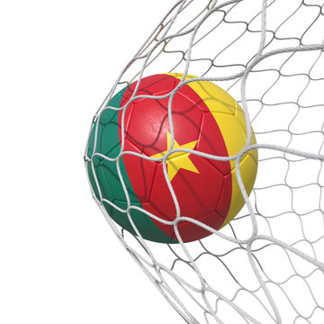 Cameroon Cameroonian flag soccer ball inside the net, in a net.