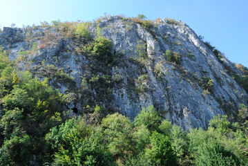 Mountain in summer with trees and sky