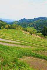 千葉県鴨川市・大山千枚田