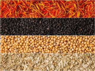 Collage of different herbs and spices background