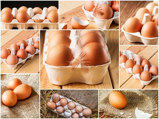 set of photos with chicken brown eggs in packing