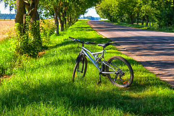 Fototapeta premium Sports mountain bike in the park at the road on a summer day with copy space