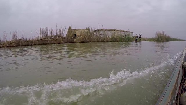 A boat speeding along the banks of the marshes in southern Iraq showing views of local homes, farmers and water buffalo paddocks made from woven reeds
