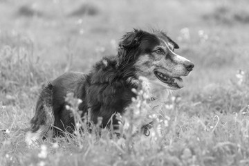 Fototapeta premium En el parque 