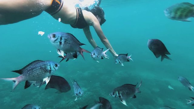 Underwater gopro shot woman diving with fishes  near pico de loro in Philippines 