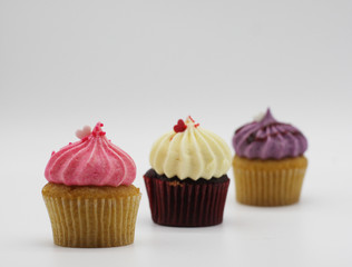 Cupcakes on a white background