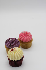 Cupcakes on a white background