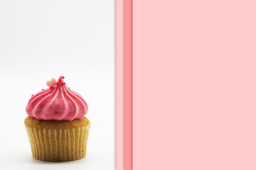 Cupcakes on a white background