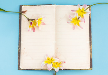 Colorful spring flowers, with blank open diary for text, on light blue background.