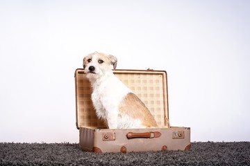 Search Photos By Johe73