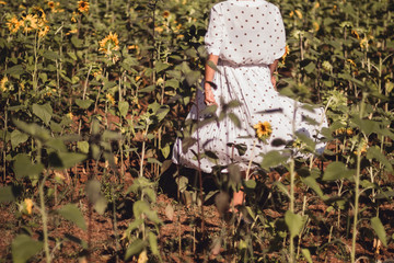 Girl  in the sunflowers field enoying the sun picking up flower dancing laughing spinning and talking with big smile / back feet