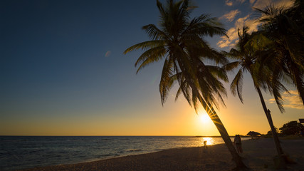 Obraz na płótnie Canvas playa de coco in kuba