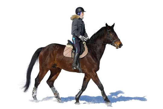 Horseback riding. A woman rides a horse. Training. Hippodrome. Sunny day