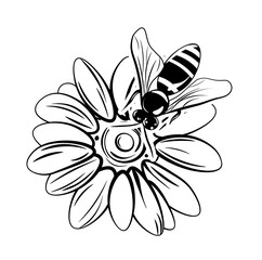 Bee on flower.  illustration isolated on white