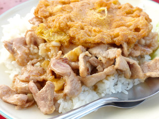 Fried pork and Omelet on rice,Thai menu