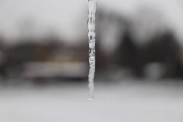 Naklejka na ściany i meble A small icicle with blurred background