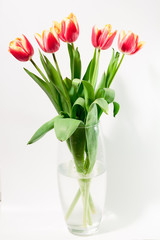 Spring easter tulips in bucket on background.