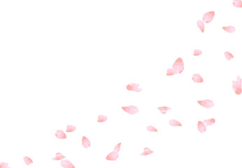 Sakura. Flying petals in the wind in pastel colors. isolated on white background. illustration