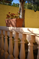 Blossoming  Kalanchoe blossfeldiana in a rectangular clay pot standing on a balustrade