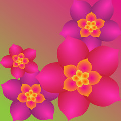Vector illustration of pink lilac flowers on a green pink background.