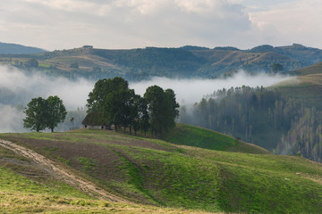 Beautiful mountain landscape of a foggy morning with and old house and trees, Dumesti, Salciua, Apuseni, Romania