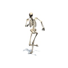 Skeleton is running - isolated on white background