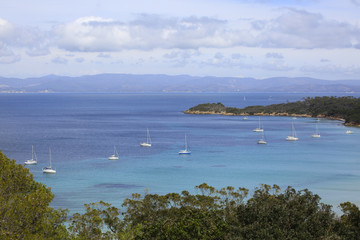 the coast and the white of sailing boats among the waves of the blue sea