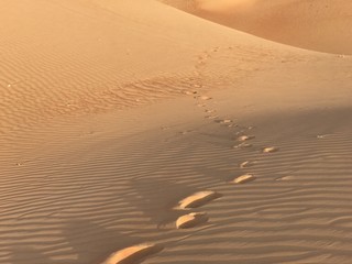 Marque de pied dans le sable du désert
