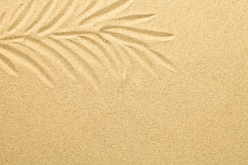 Fototapeta na wymiar Palm Leaf Drawn in the Sand. Summer Background